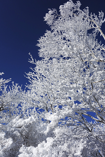 カテゴリ複数テスト